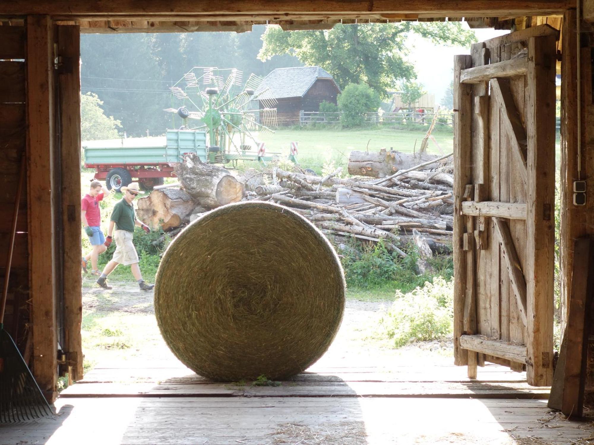 ZeutschachUrlaub Am Bio-Bauernhof Liebchen别墅 外观 照片