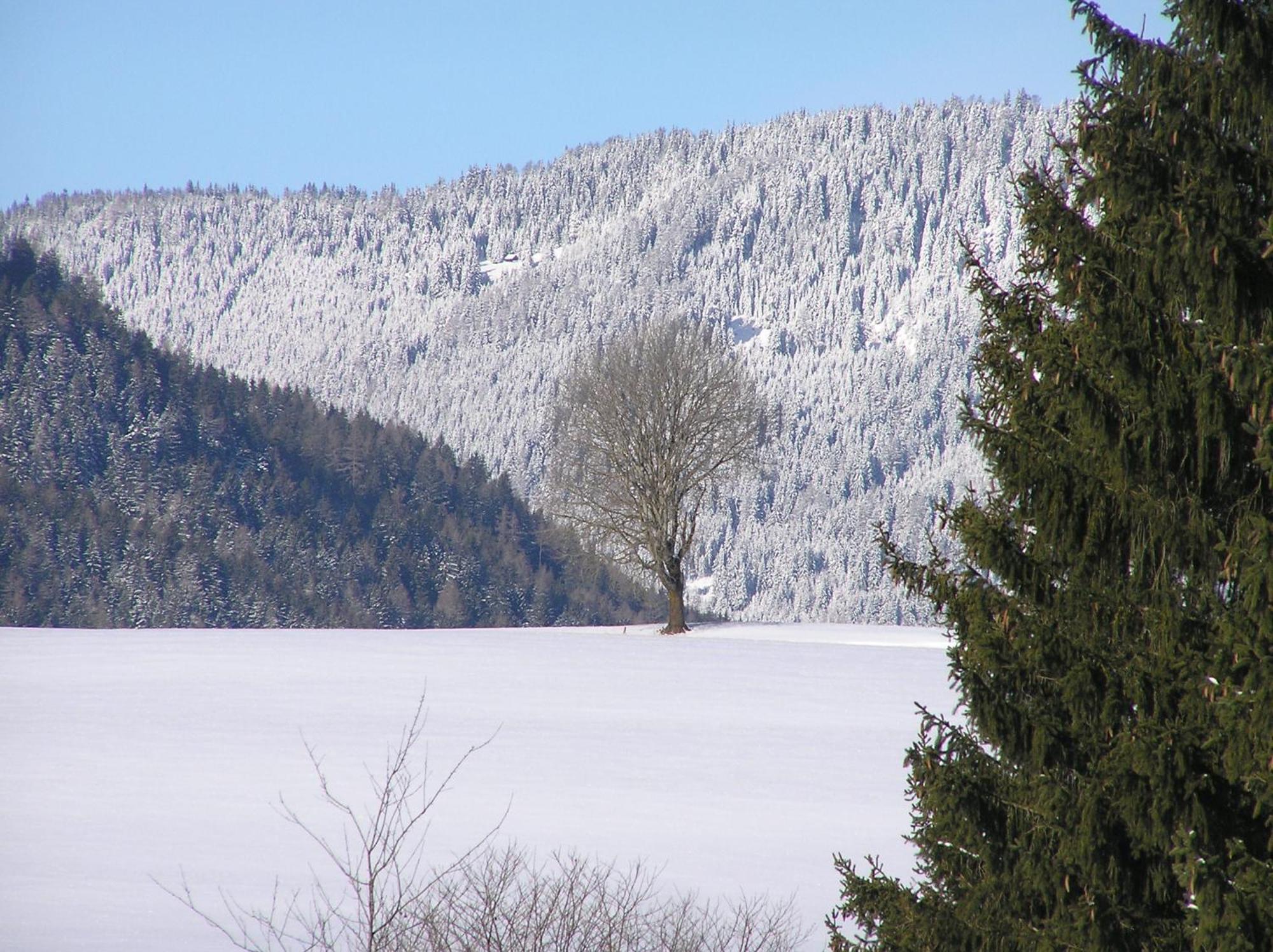 ZeutschachUrlaub Am Bio-Bauernhof Liebchen别墅 外观 照片