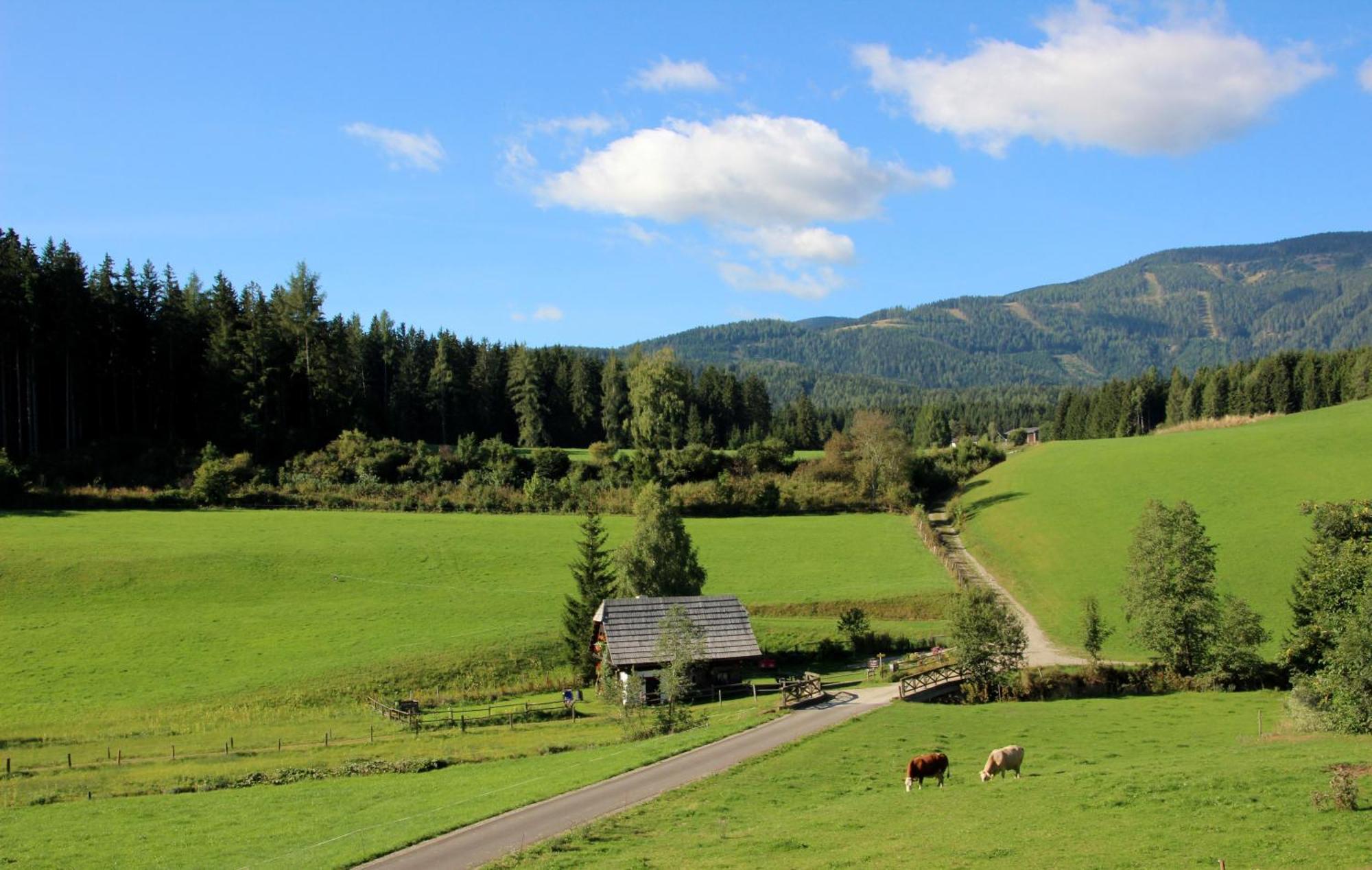 ZeutschachUrlaub Am Bio-Bauernhof Liebchen别墅 外观 照片