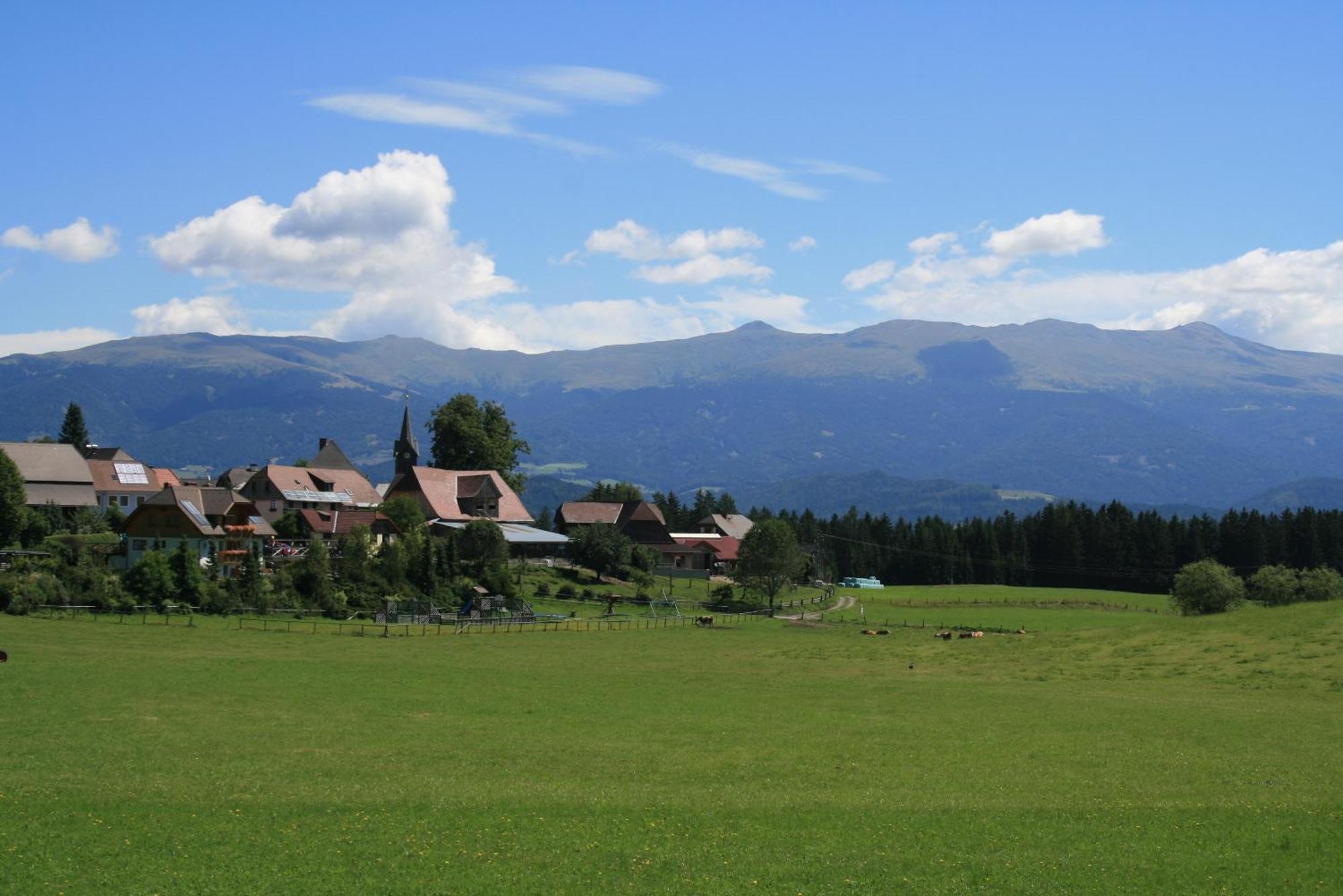ZeutschachUrlaub Am Bio-Bauernhof Liebchen别墅 外观 照片