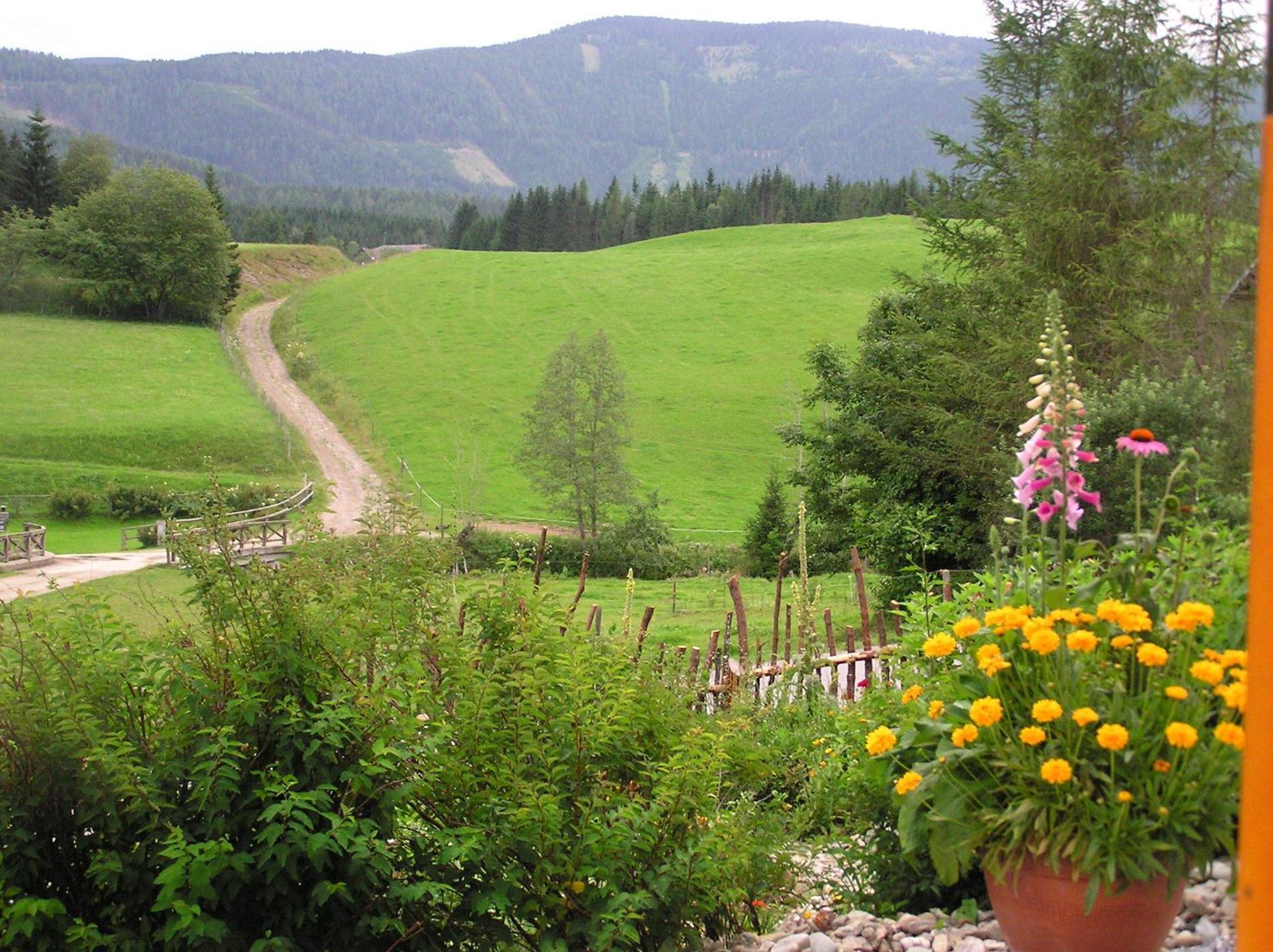 ZeutschachUrlaub Am Bio-Bauernhof Liebchen别墅 外观 照片