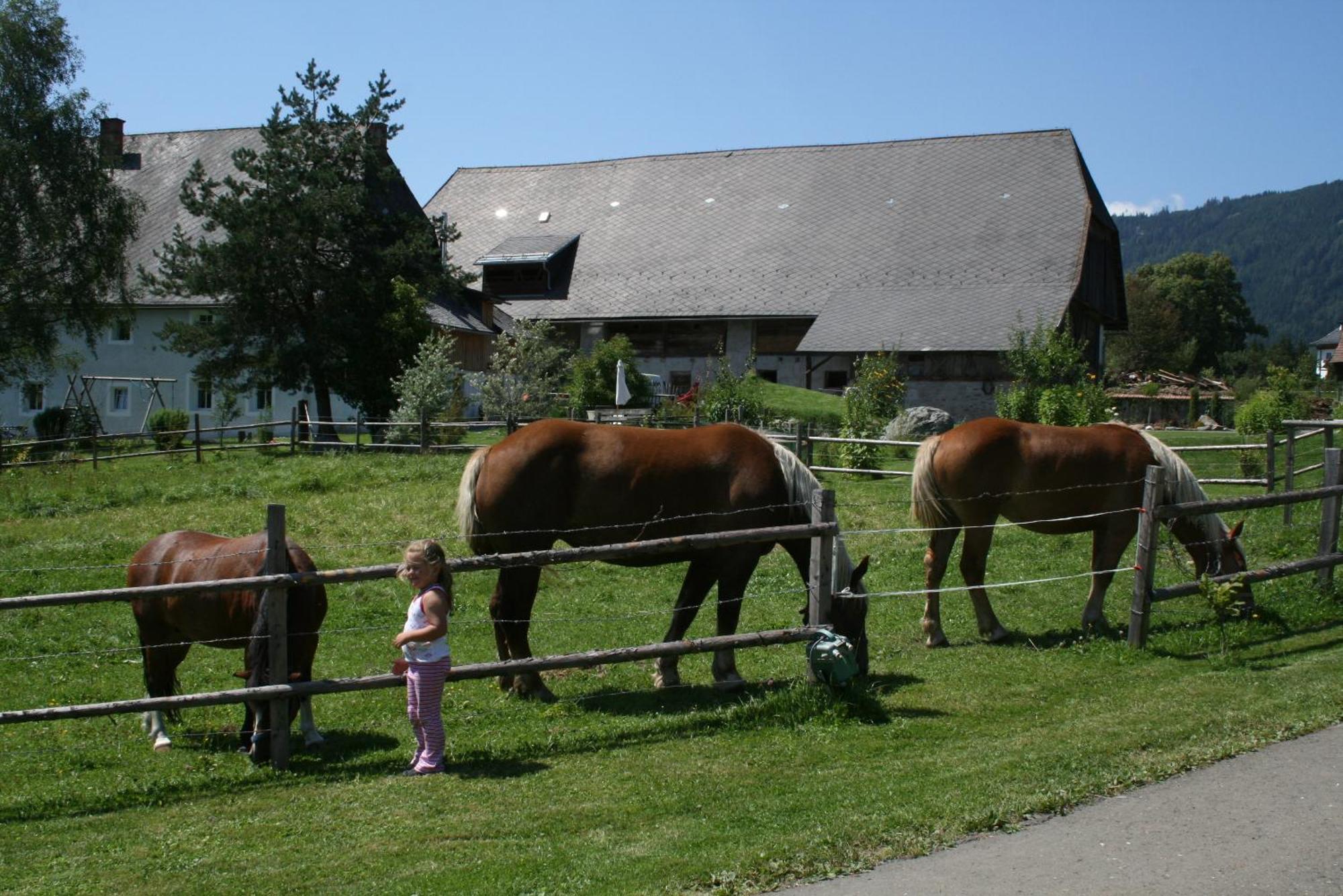 ZeutschachUrlaub Am Bio-Bauernhof Liebchen别墅 外观 照片